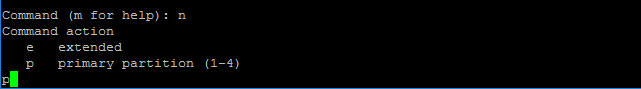 图片[4]-CentOS 7 安装宝塔面板建站 如何挂载磁盘-蓝米兔博客